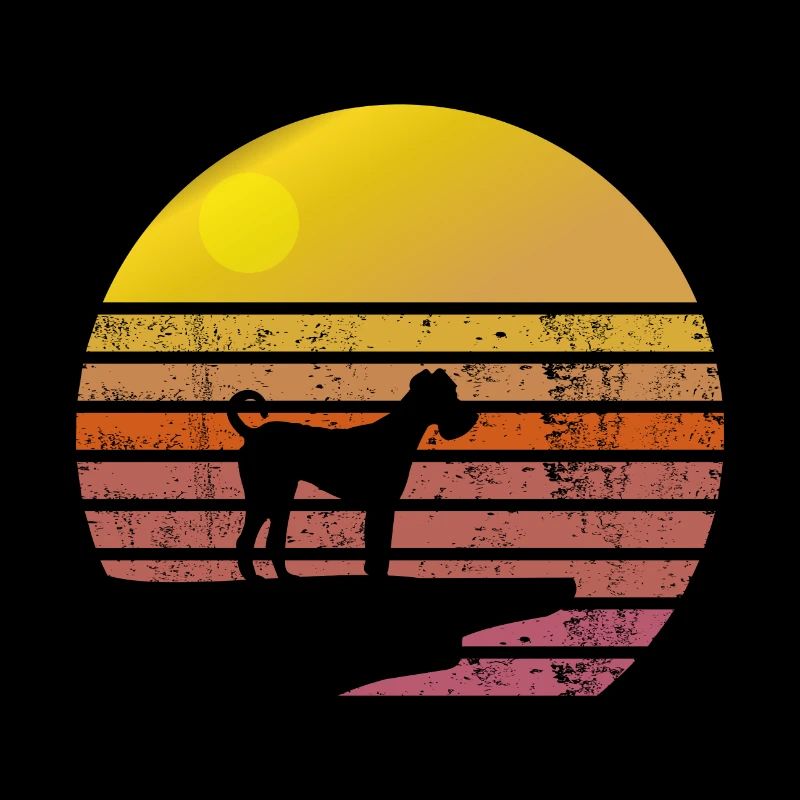 Irish Terrier Soleil Lever de soleil Silhouette