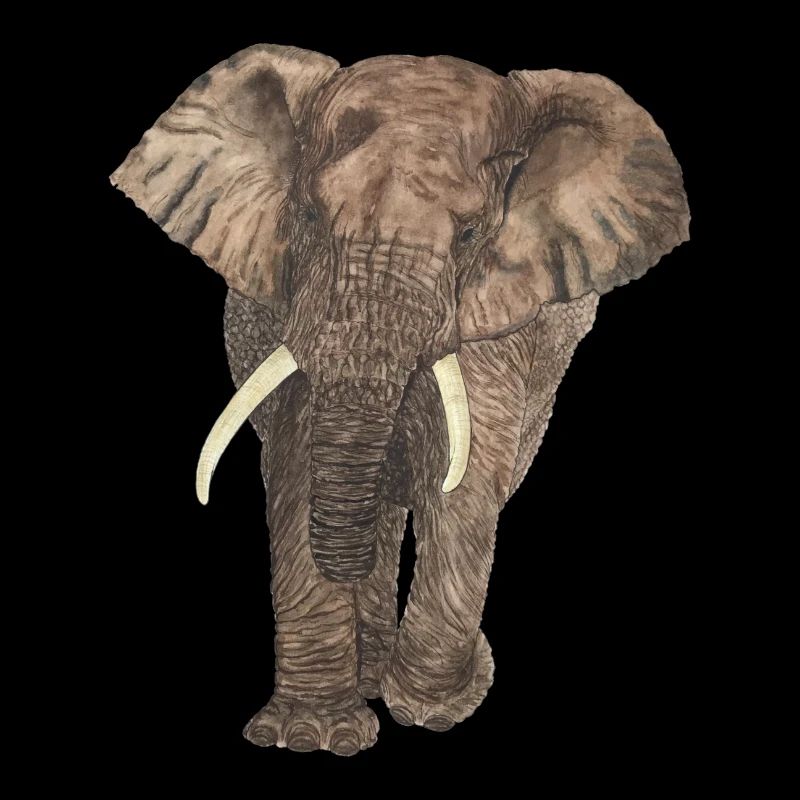 Éléphant
