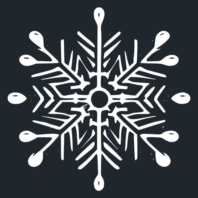 Snowflake Snow Winter Christmas Cold 2