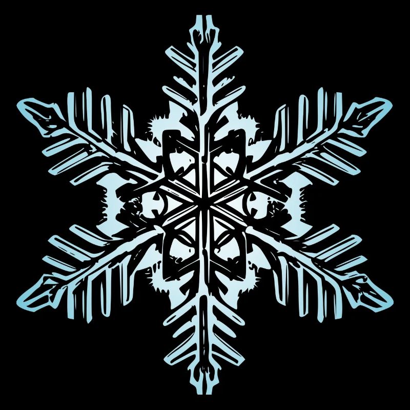 Flocon de neige Neige Hiver Noël coloré 1