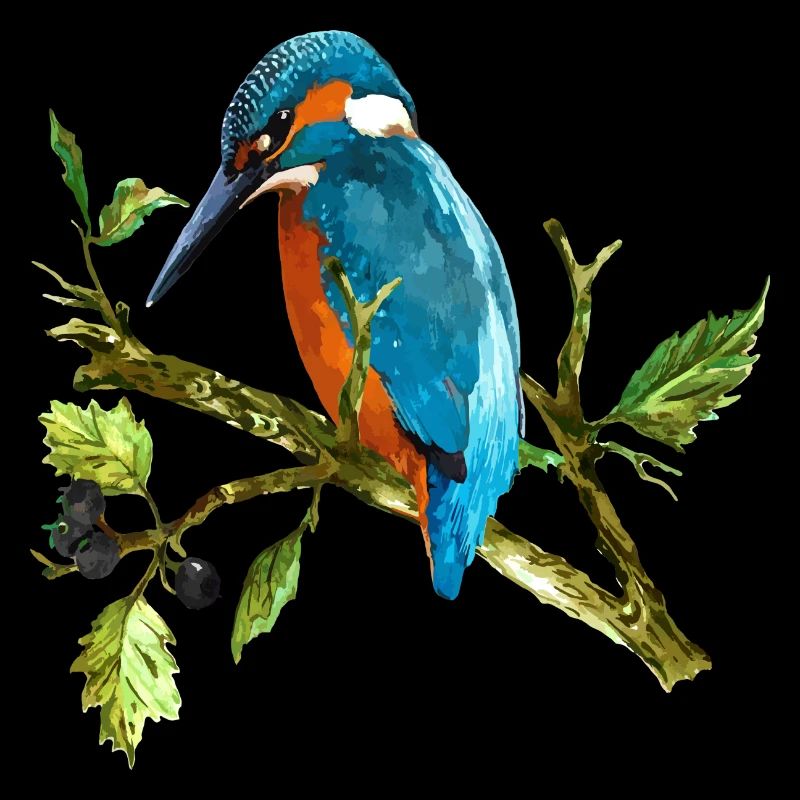 Oiseau coloré