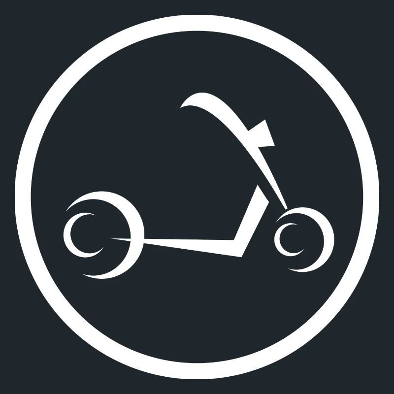 E-Scooter E-Roller Scooter