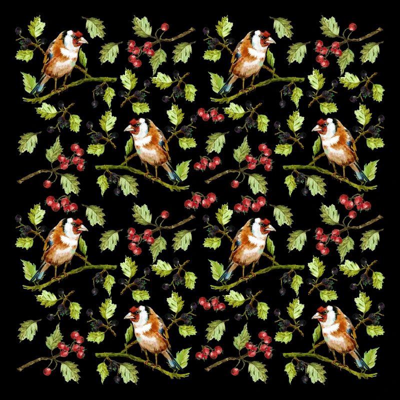 Oiseaux colorés