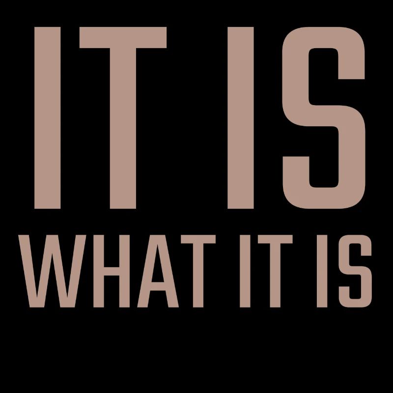 it is what it is