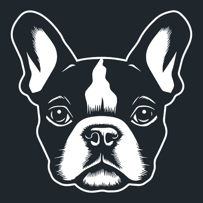 Bouledogue français Terrier de Boston