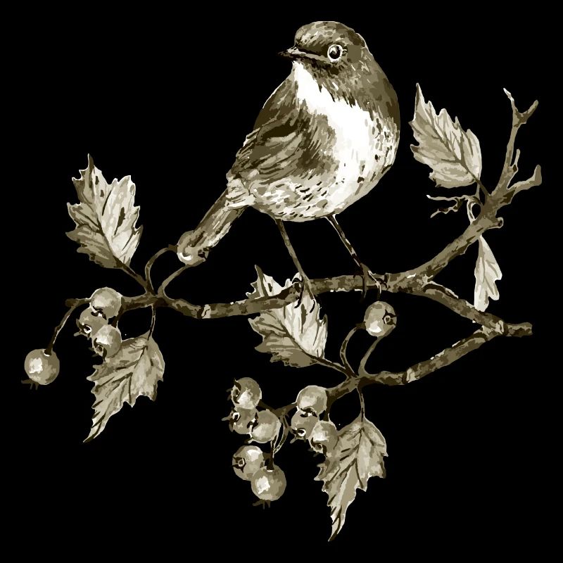 Oiseau