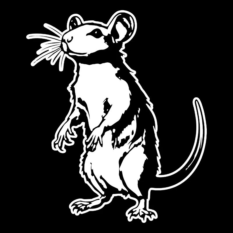 Rat, souris, rongeur, rats