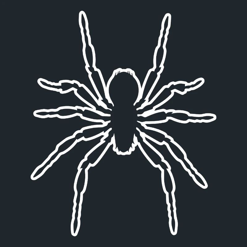 Spinne Spinnen Tiere
