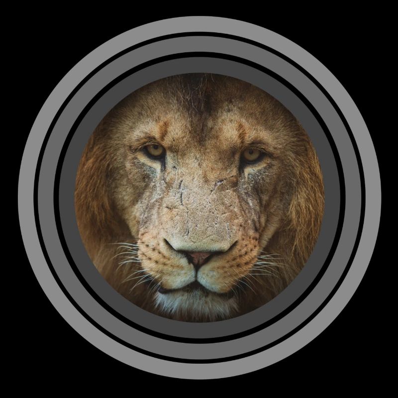 Cercles de couleur de lion noir blanc