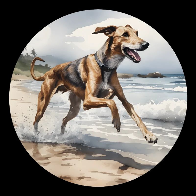 A Happy Lurcher