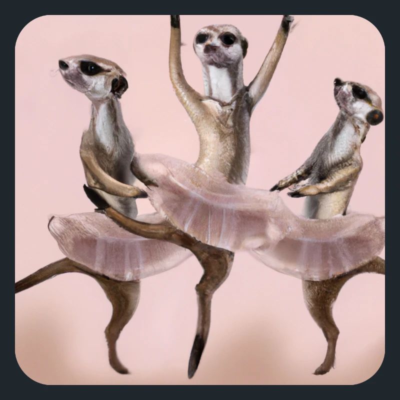 Ballett Erdmännchen