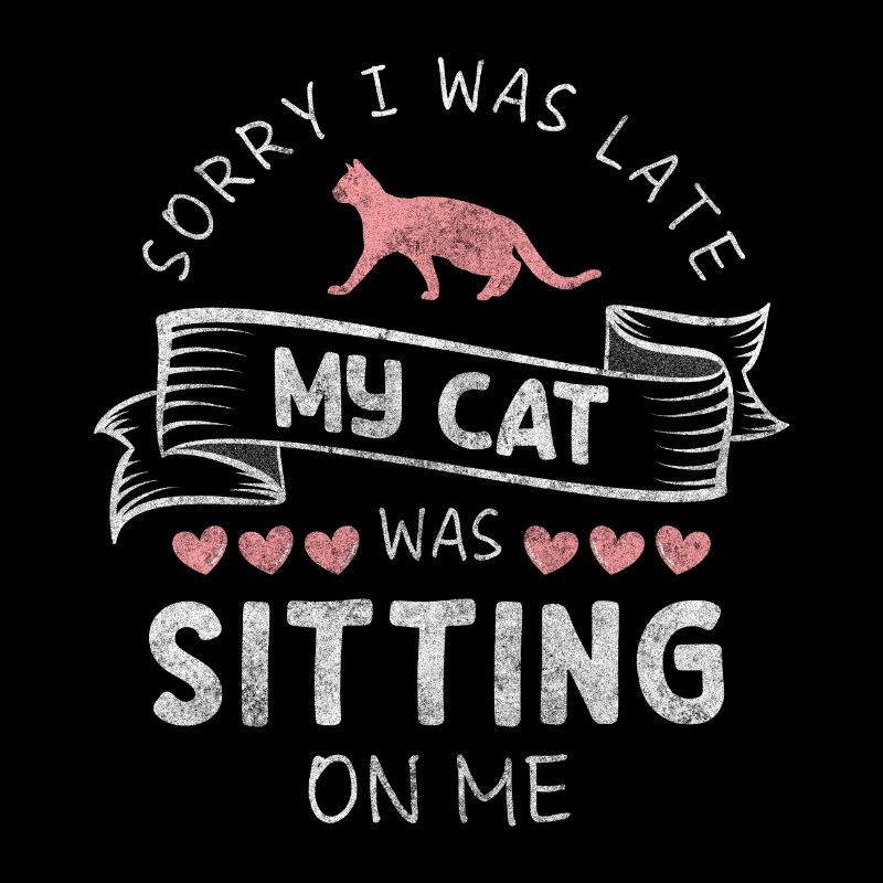 Chats Maison Tigre Chat Dame Mignon