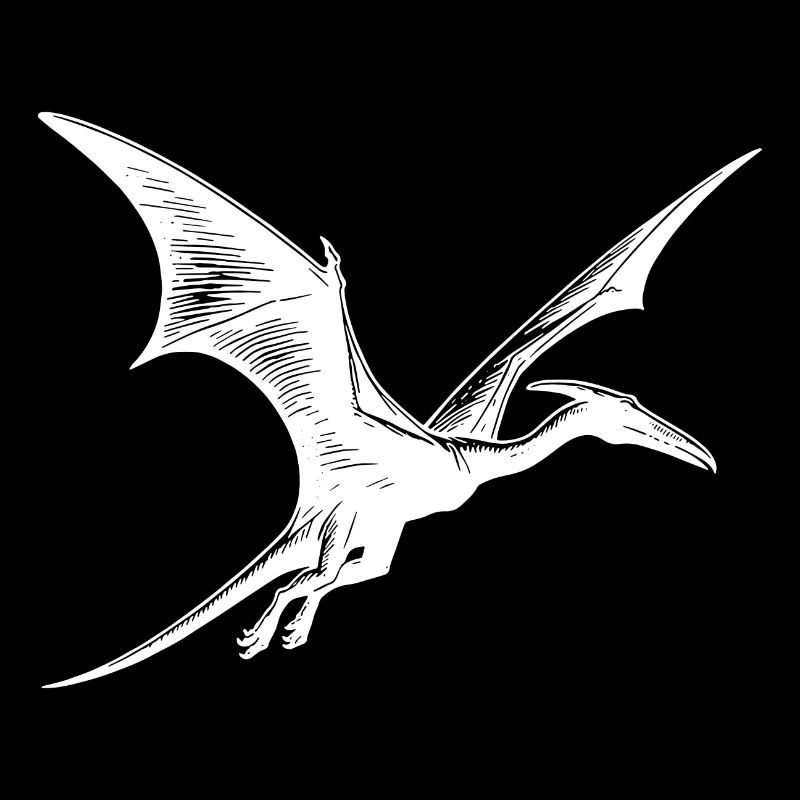 Ptérosaure Dino Ptéranodon Dinosaure volant