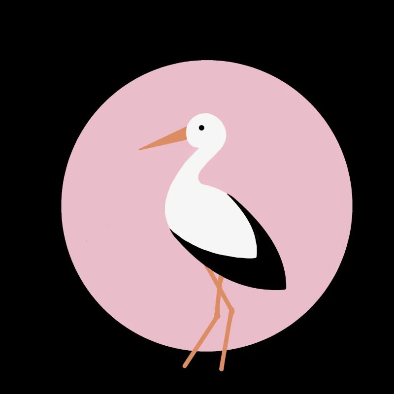 Storch rosa