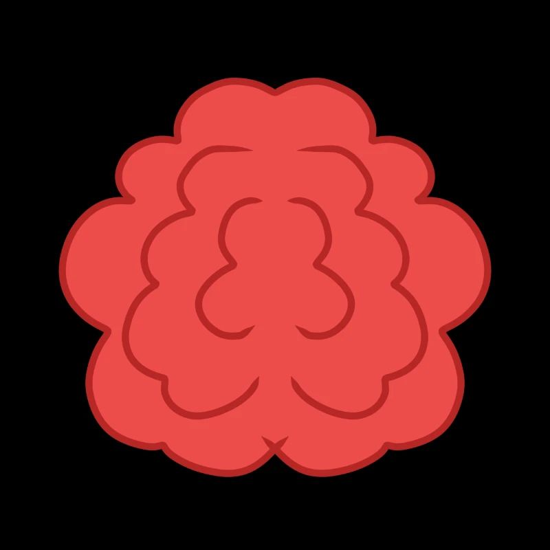 Fleur Rose Rouge Symbole
