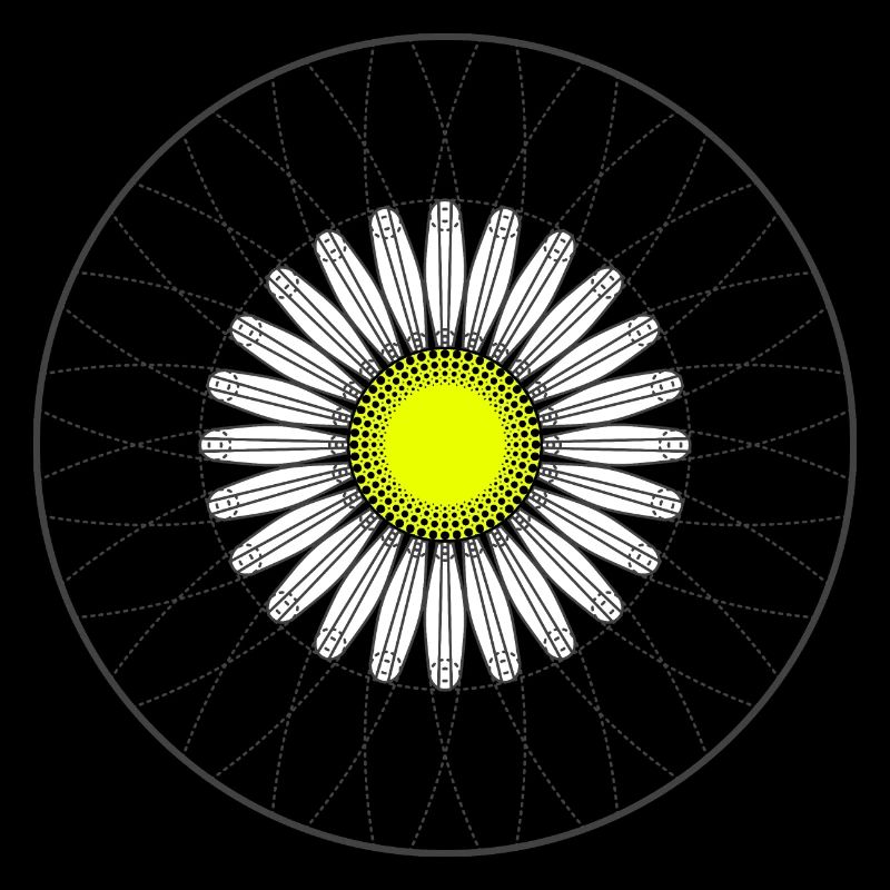 Daisy - Dark