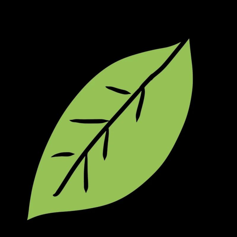 Leaf Symbol Shape Leaves Nature Green