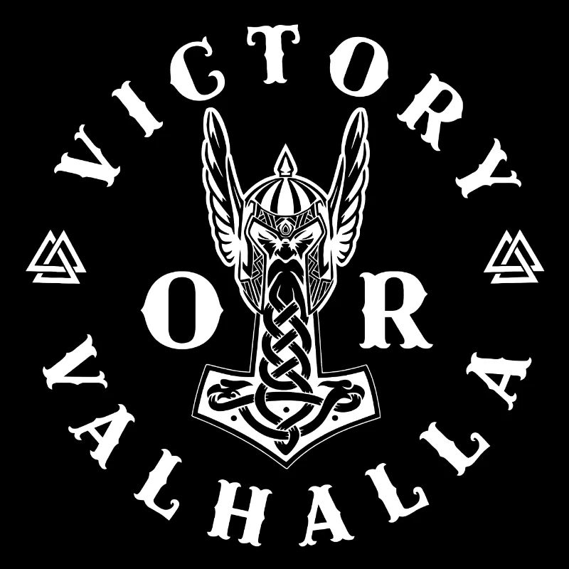 Vikings norden valhalla suède scandinavia flaga