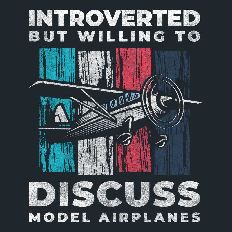 Model Airplane Model Flying Machine Flight