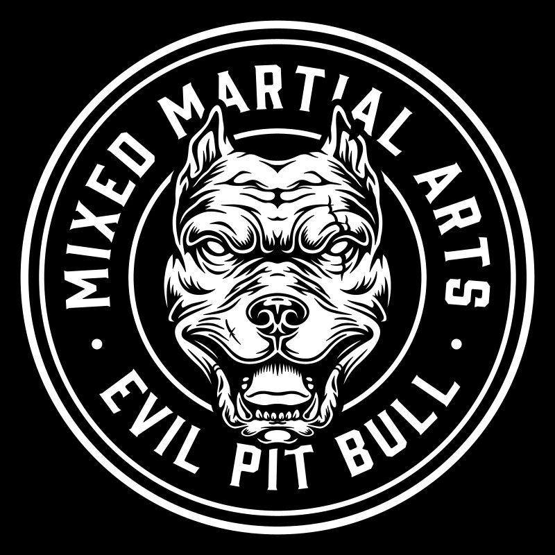 MMA-Kämpfe