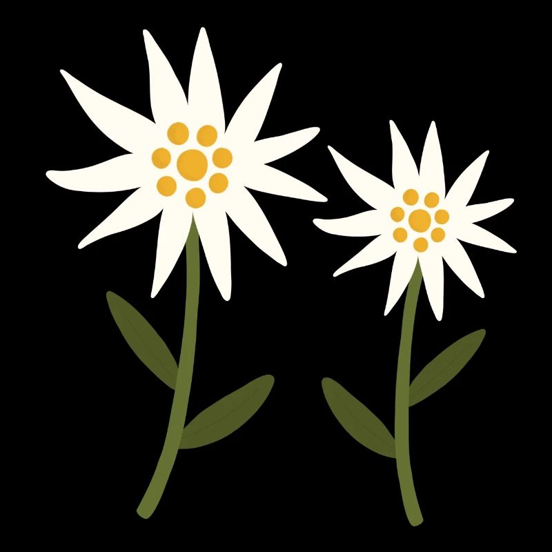 edelweiss flowers