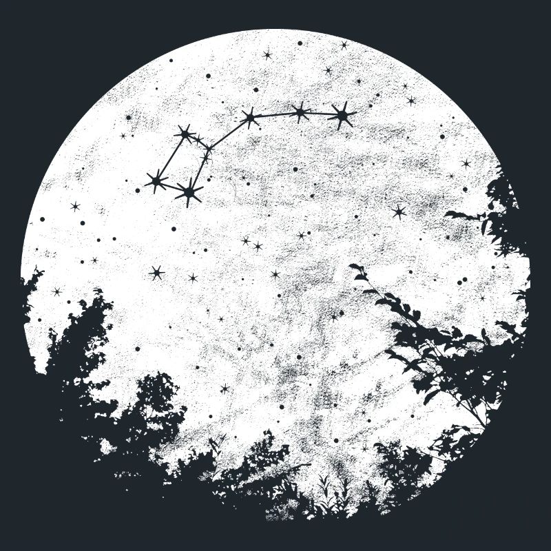 Petit, ours, constellation, signe