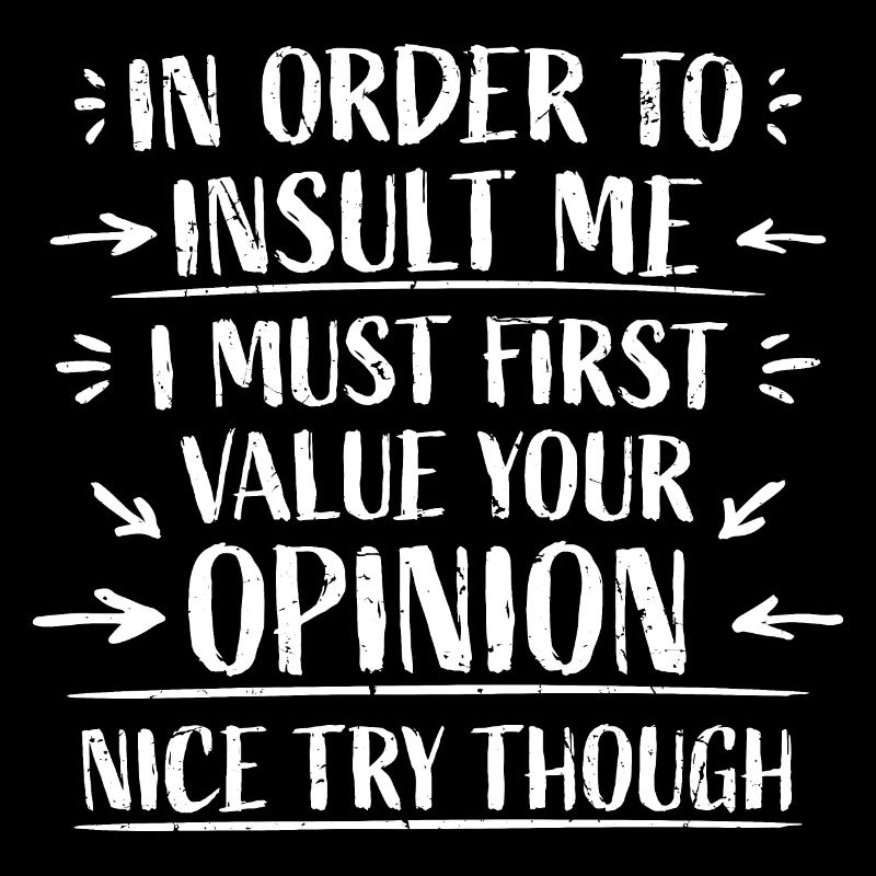 In Order To Insult I Must First Value Your Opinion