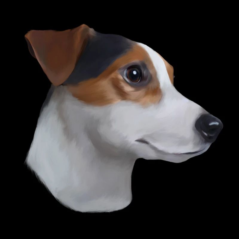 Jack Russell Terrier