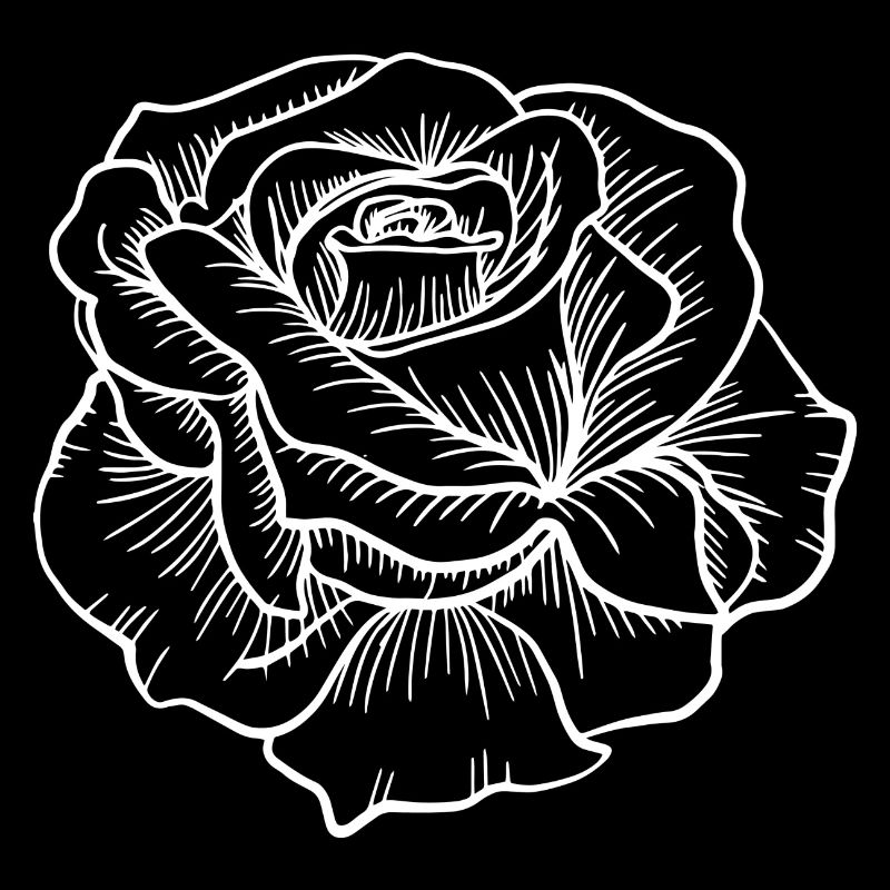 Flower Blume Pflanze