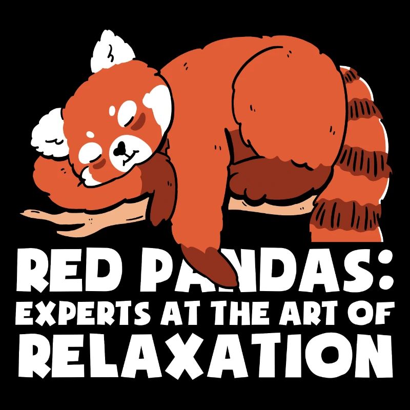 Panda roux endormi