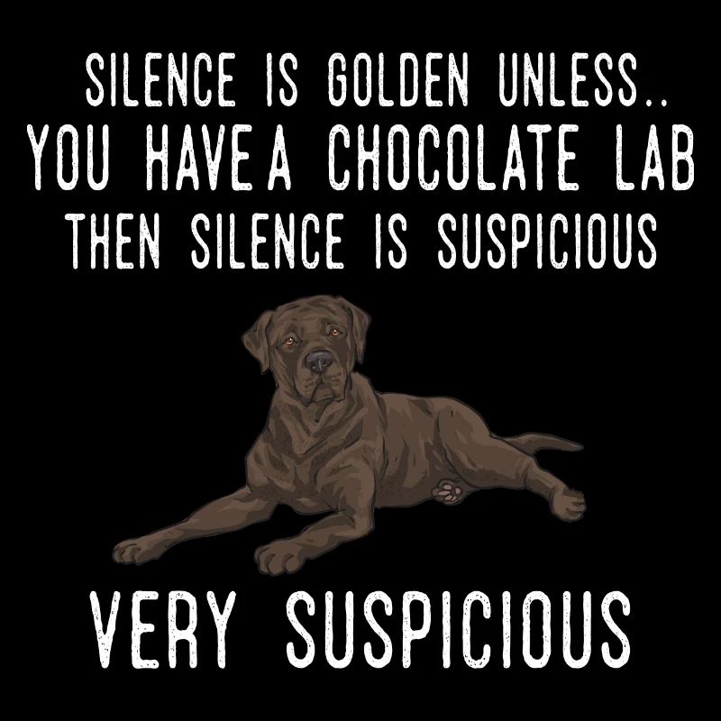 Chien Labrador Retriever chocolat