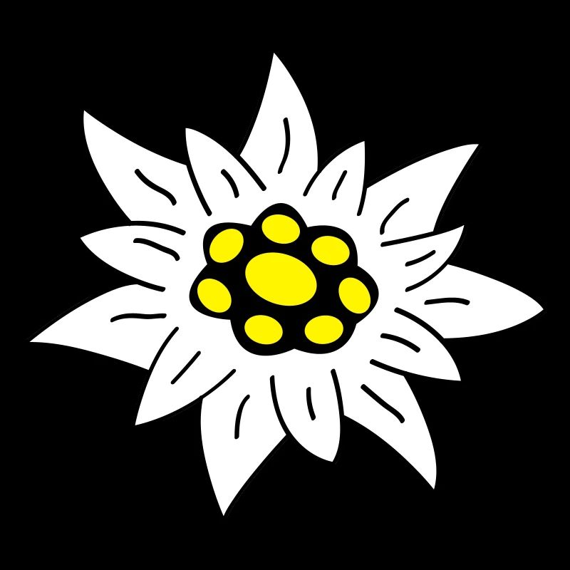Edelweiss