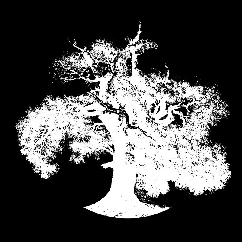 Baum Wald Klimawandel nachhaltiger Umweltschutz