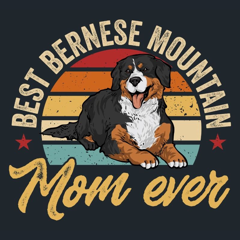 Bouvier bernois