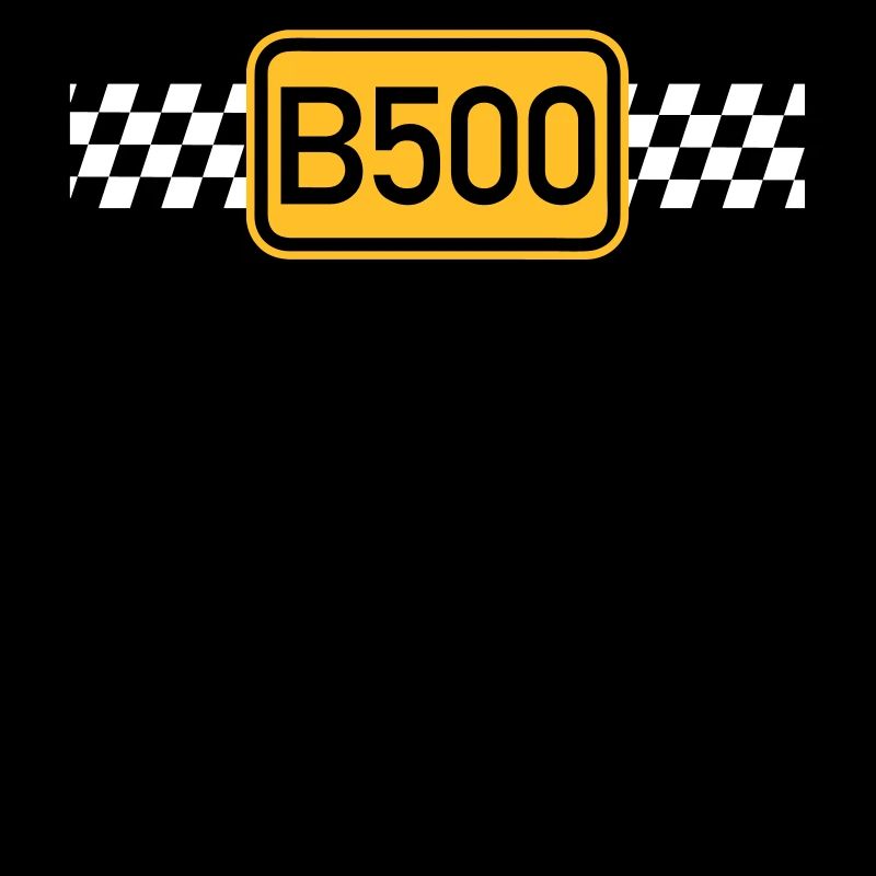 B500 Racing-Team