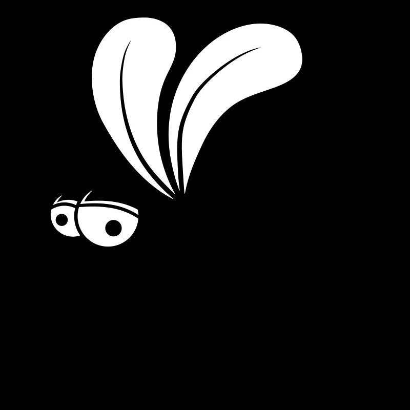 stechmuecke fly insect-throwing fly bloodsucker