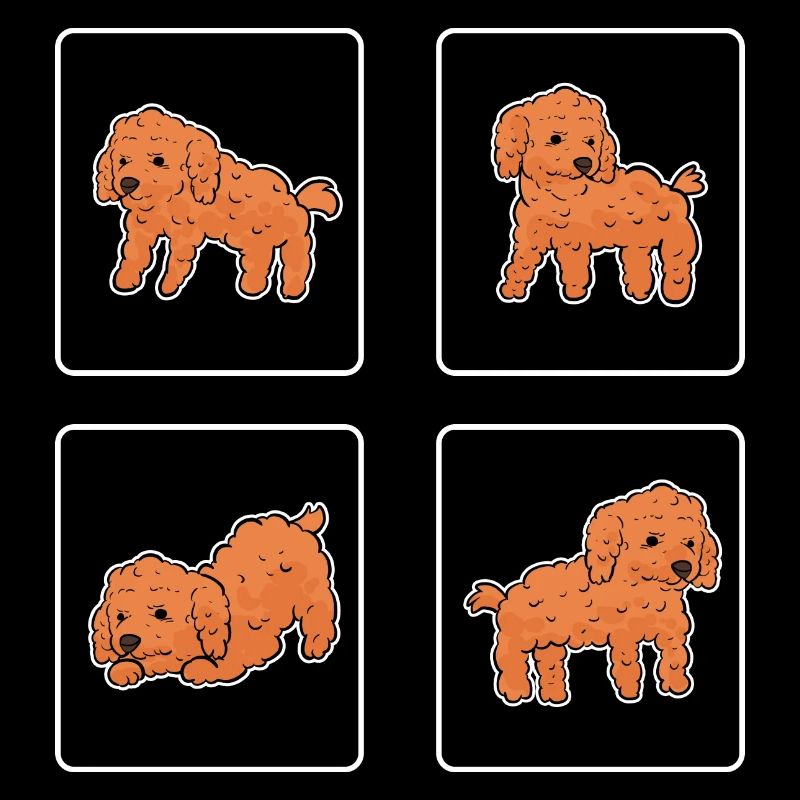 Caniche Chien Nain Caniche Jouet Caniche Petit Caniche Chiot Chiot