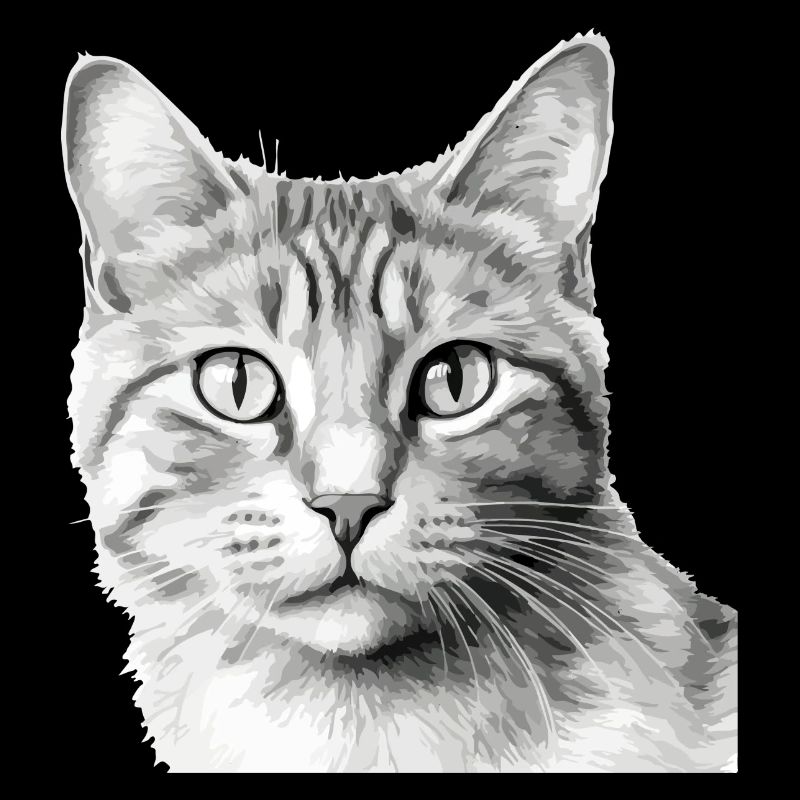 Bli, die Katze