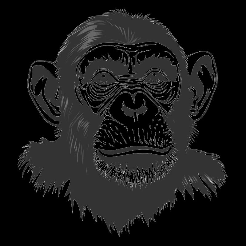 Affe - Schimpanse