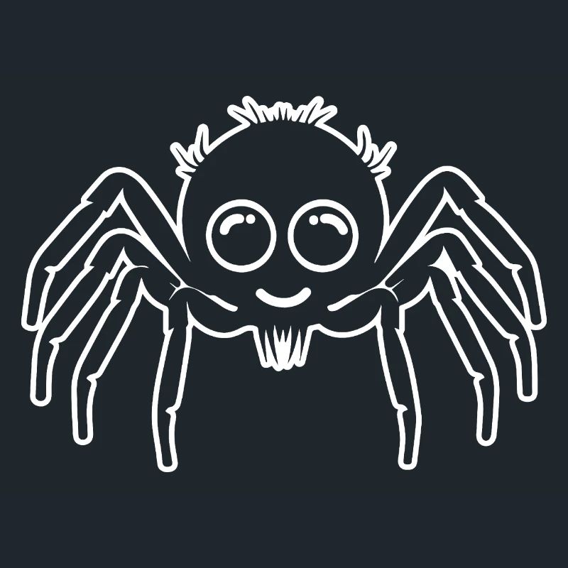 Spider spiders animals
