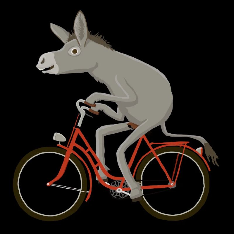 Vélos rouges
