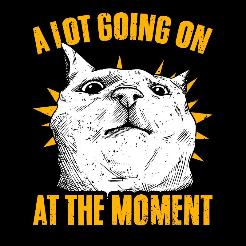 Naughty Cat Face A Lot Going On At The Moment For