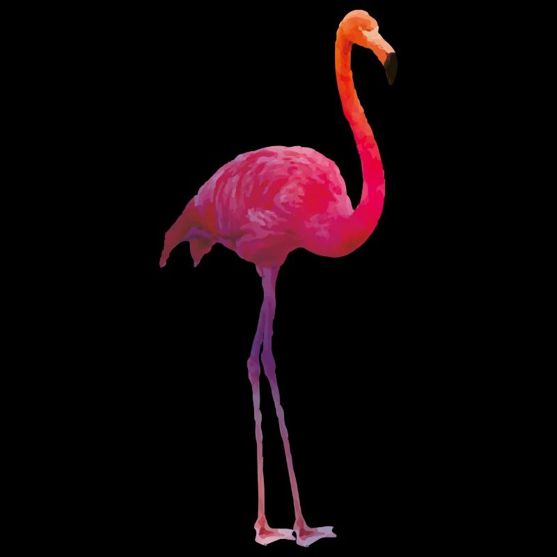 Couleurs flamant rose