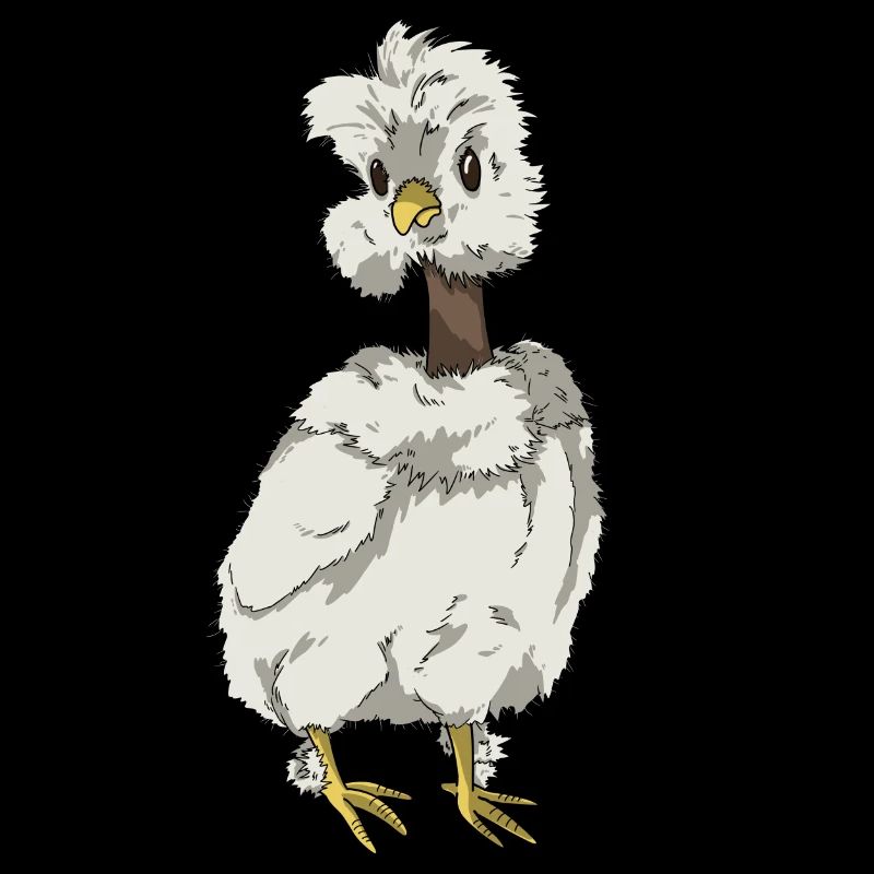 Chicken Chick Silk Chicken Naked-necked Chicken Breed