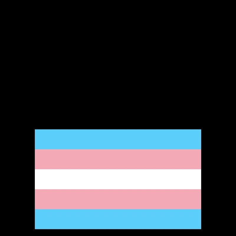 Frag mich nach meinen Pronomen Trans Pride Flag