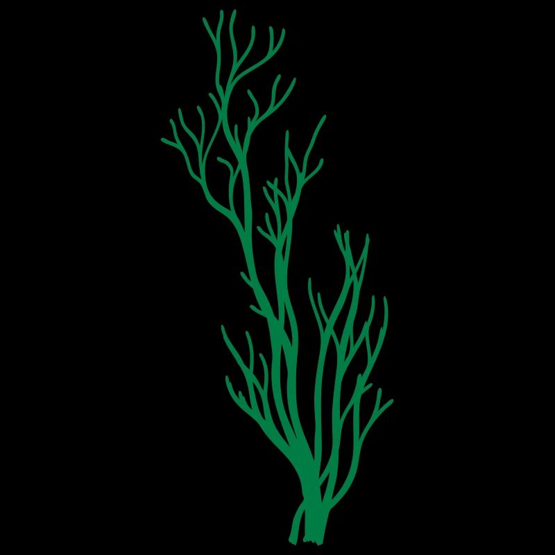bush algae underwater coral branch geaeste pflan