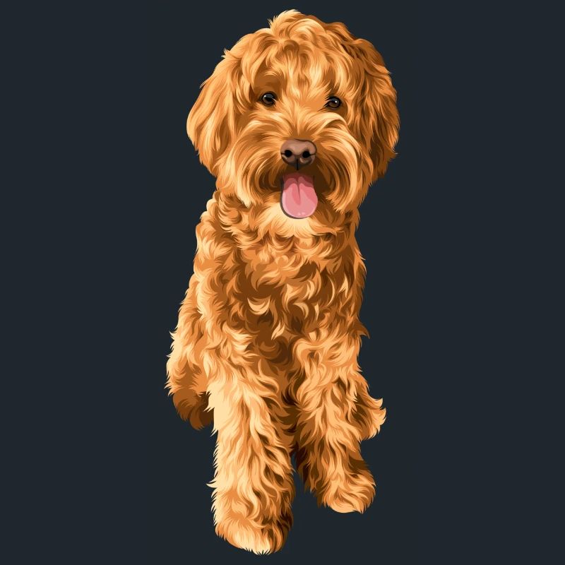 Goldendoodle Schnoodle