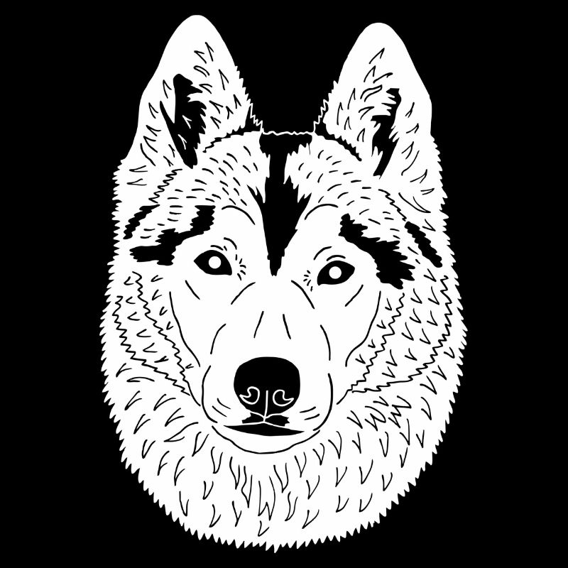 Husky