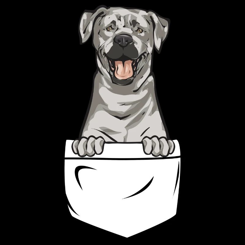 Silver Labrador Retriever Silver Lab