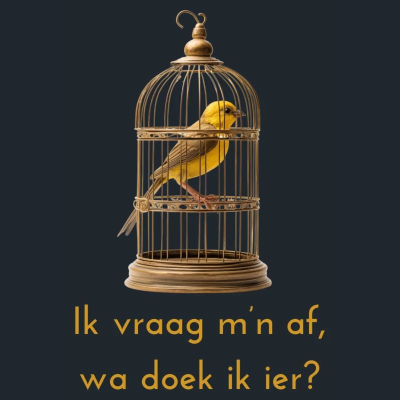 Je me demande? Dialecte anversois Chemises